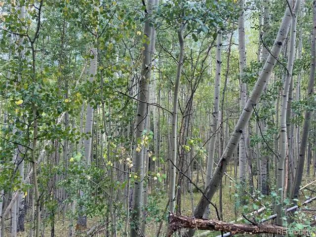 LOT 5835 Slegers Road San Luis, CO 81152