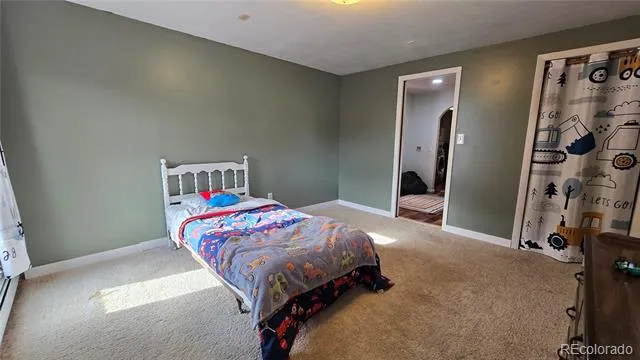 411 Gruenberg Road Fort Garland, CO 81133