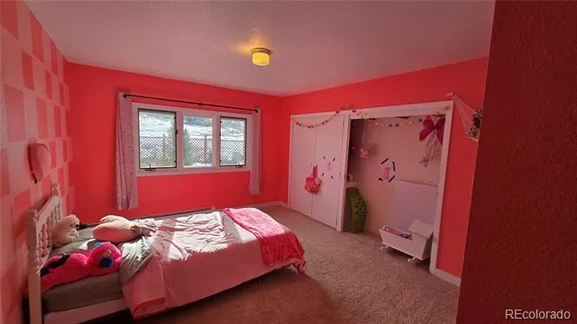 411 Gruenberg Road Fort Garland, CO 81133