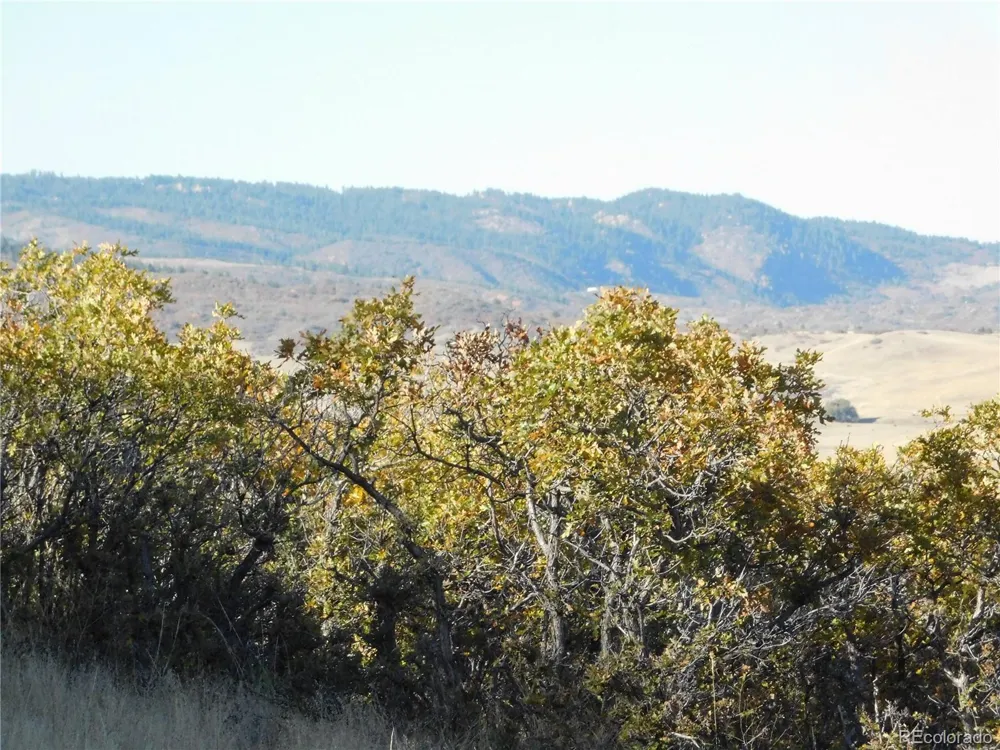 5498 Country Club Drive Larkspur, CO 80118