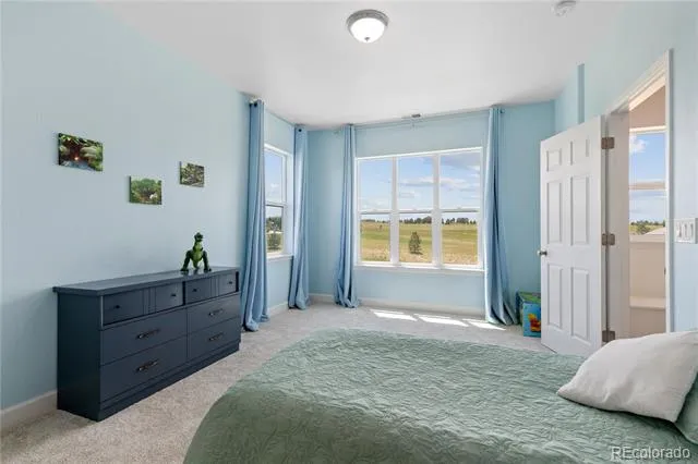 2490 Sagebrush Street Parker, CO 80138