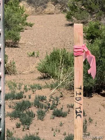 1 Lane 2 Mosca, CO 81146