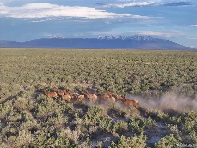 1 Lane 2 Mosca, CO 81146