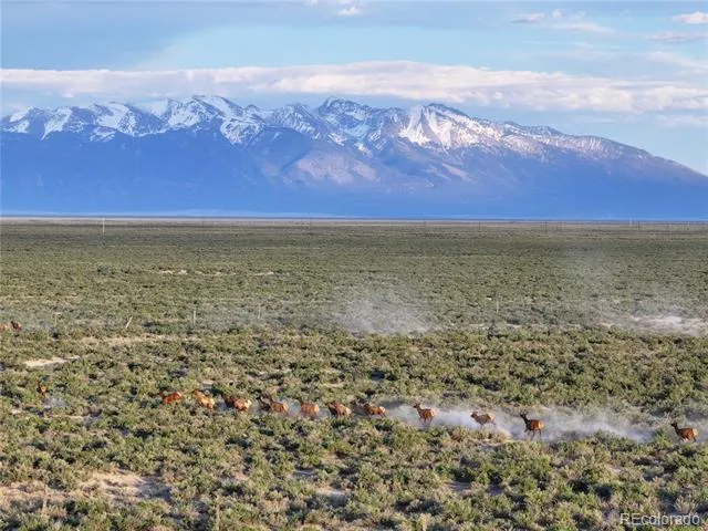 1 Lane 2 Mosca, CO 81146