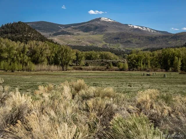 127 Brown's Road South Fork, CO 81154