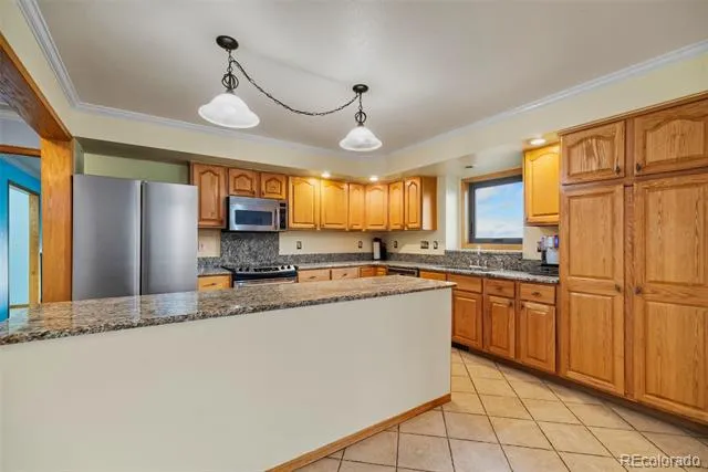4109 County Road 5 Fairplay, CO 80440