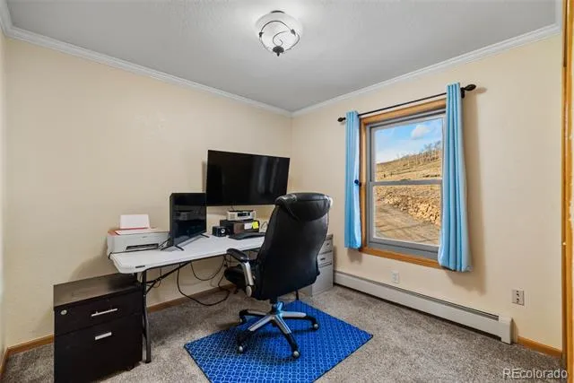 4109 County Road 5 Fairplay, CO 80440