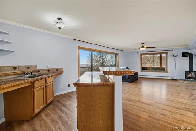 4109 County Road 5 Fairplay, CO 80440