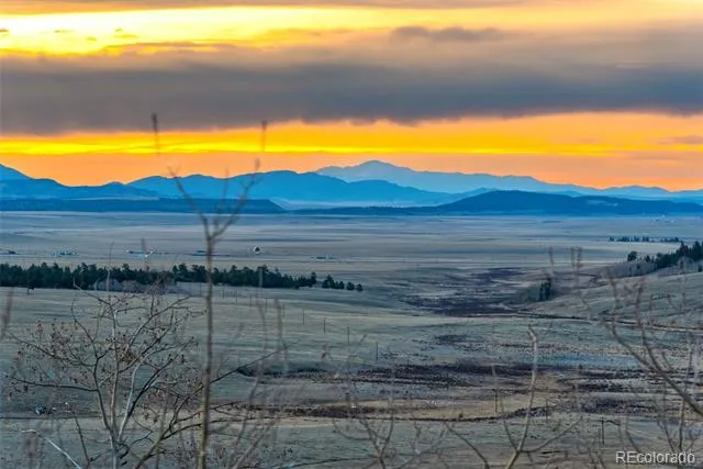 4109 County Road 5 Fairplay, CO 80440