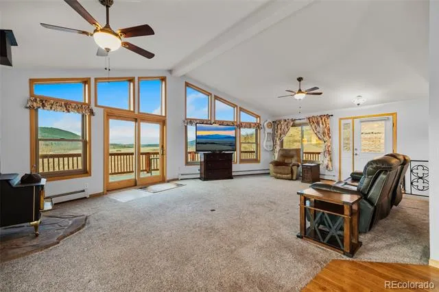 4109 County Road 5 Fairplay, CO 80440