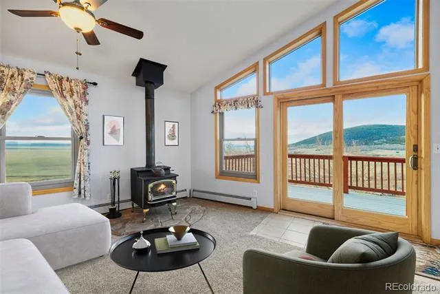 4109 County Road 5 Fairplay, CO 80440