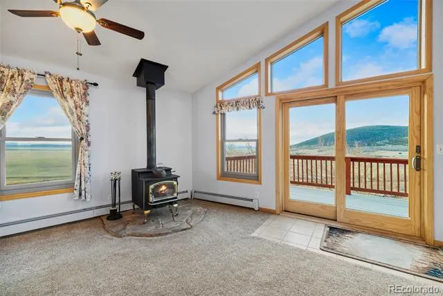 4109 County Road 5 Fairplay, CO 80440