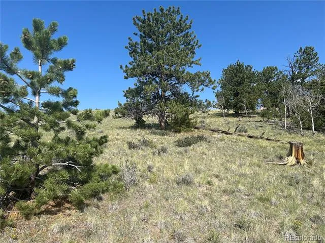 11414 Ranch Road Hartsel, CO 80449