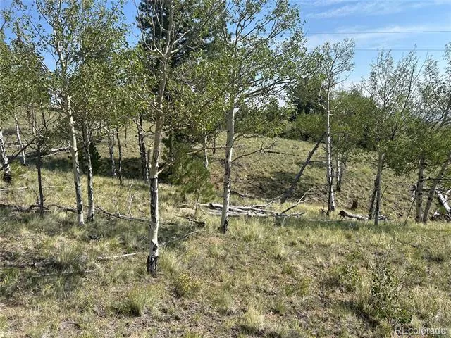 11414 Ranch Road Hartsel, CO 80449