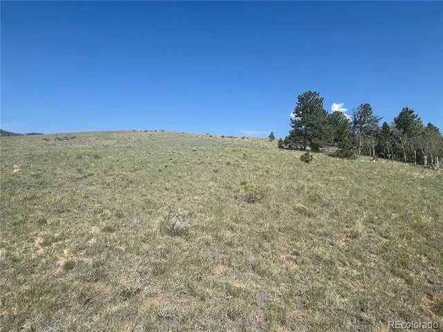 11414 Ranch Road Hartsel, CO 80449