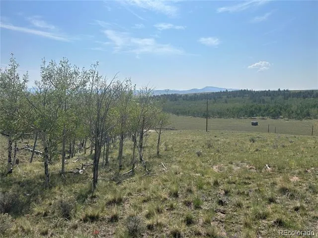 11414 Ranch Road Hartsel, CO 80449