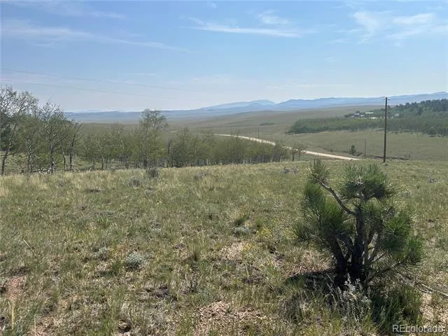 11414 Ranch Road Hartsel, CO 80449