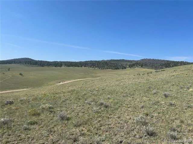 11414 Ranch Road Hartsel, CO 80449