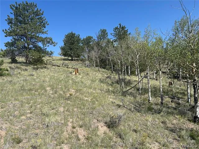 11414 Ranch Road Hartsel, CO 80449