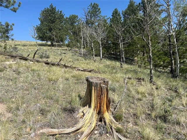 11414 Ranch Road Hartsel, CO 80449