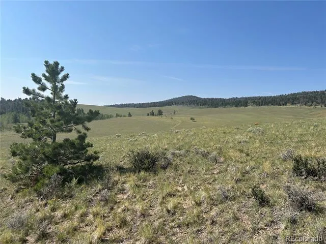 11414 Ranch Road Hartsel, CO 80449