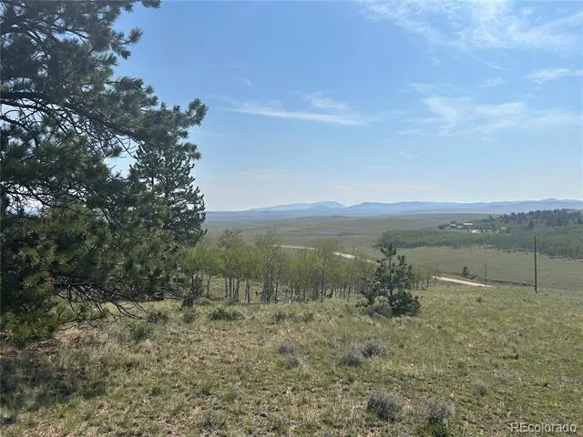 11414 Ranch Road Hartsel, CO 80449