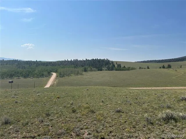 11414 Ranch Road Hartsel, CO 80449