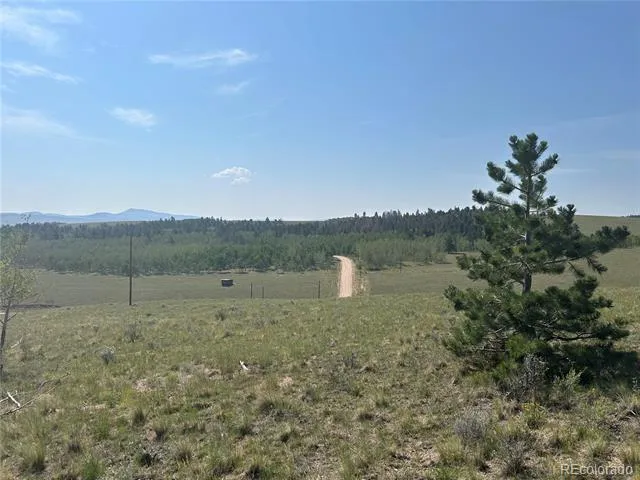 11414 Ranch Road Hartsel, CO 80449