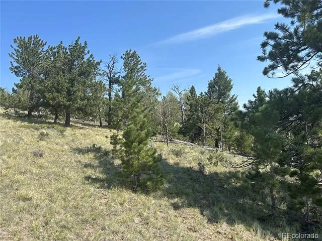 11414 Ranch Road Hartsel, CO 80449