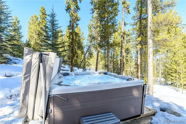 91 Snowshoe Circle Breckenridge, CO 80424