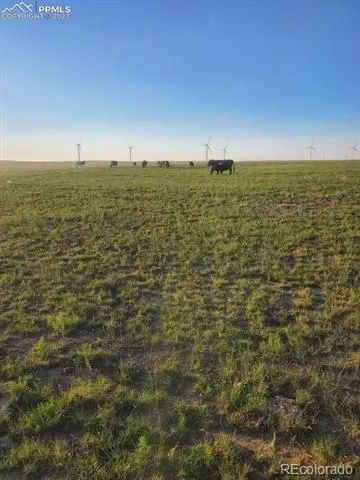 169 County Road Matheson, CO 80830