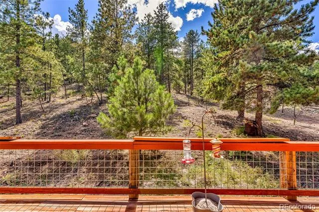 860 Texas Creek Lane Cotopaxi, CO 81223