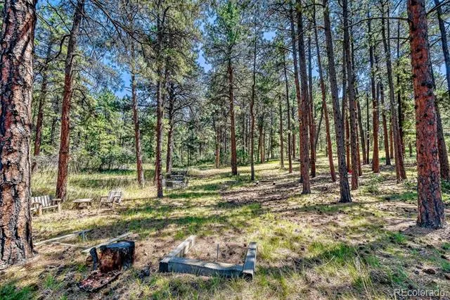 3392 Estates Circle Larkspur, CO 80118