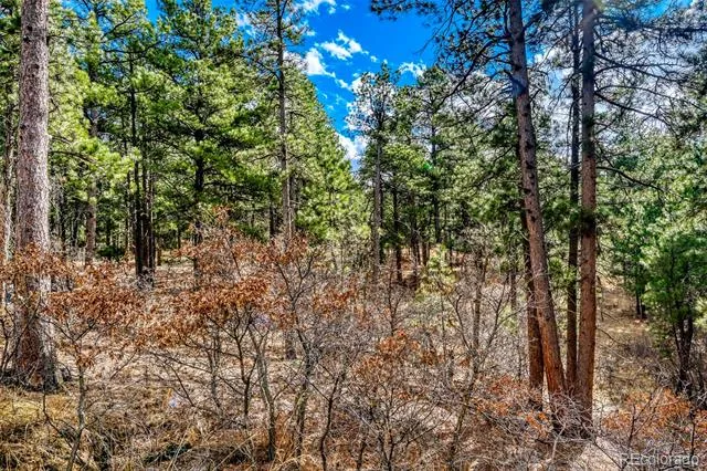 3392 Estates Circle Larkspur, CO 80118