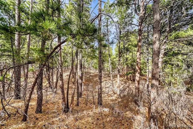 3392 Estates Circle Larkspur, CO 80118