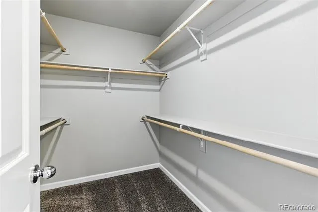 309 Scaup Lane Johnstown, CO 80534