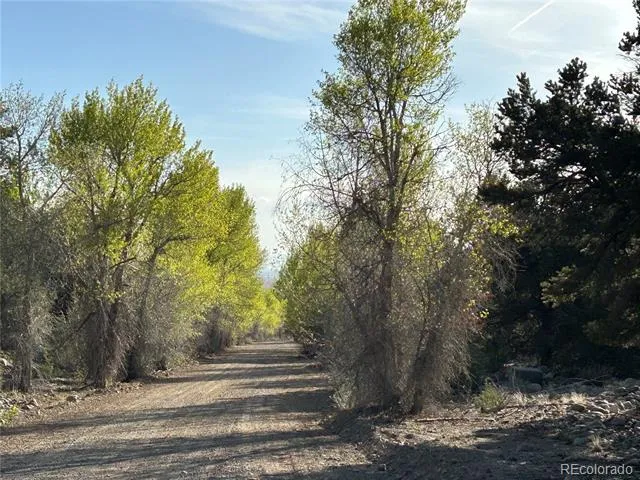 3821 Virtue Way Crestone, CO 81131