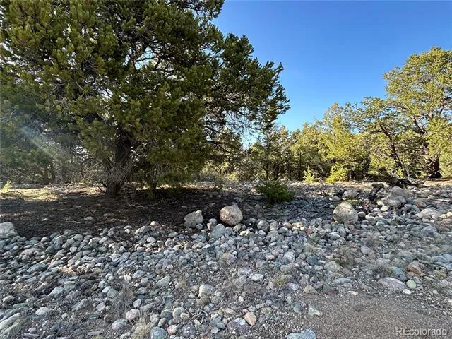 3821 Virtue Way Crestone, CO 81131