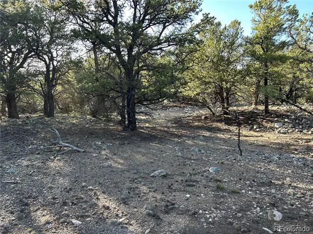 3821 Virtue Way Crestone, CO 81131