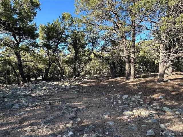 3821 Virtue Way Crestone, CO 81131