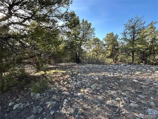 3821 Virtue Way Crestone, CO 81131