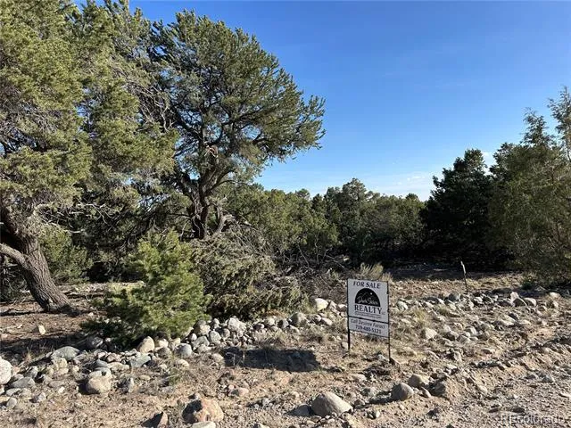 3821 Virtue Way Crestone, CO 81131