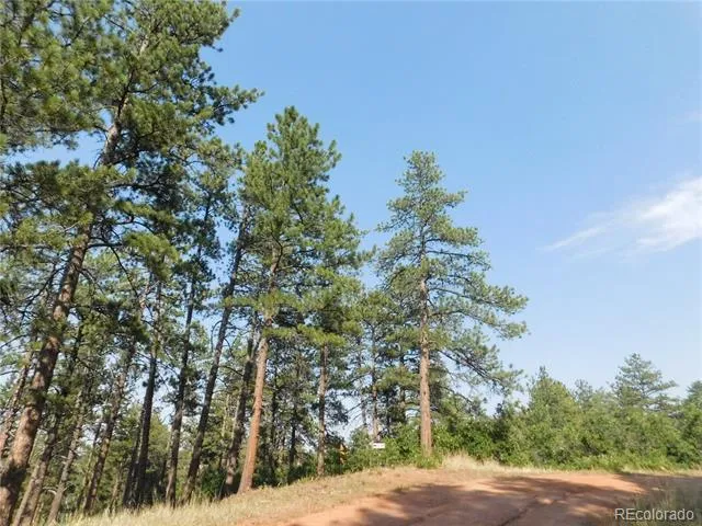 8122 Acoma Drive Larkspur, CO 80118