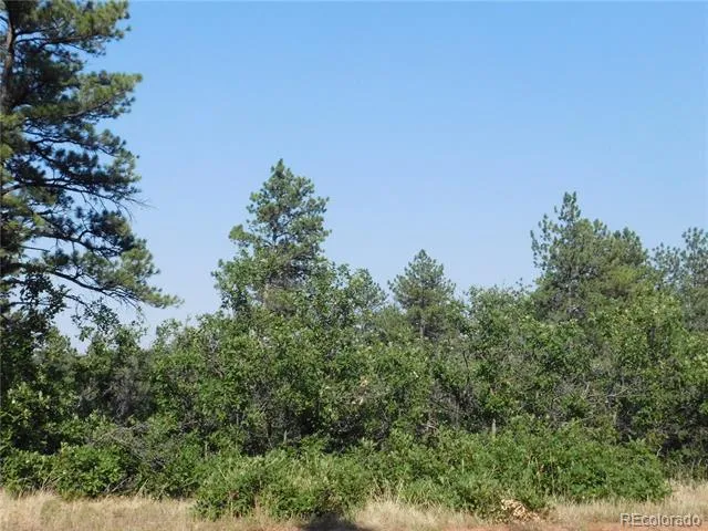 8122 Acoma Drive Larkspur, CO 80118