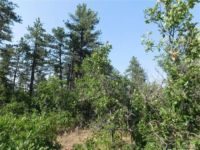 8122 Acoma Drive Larkspur, CO 80118