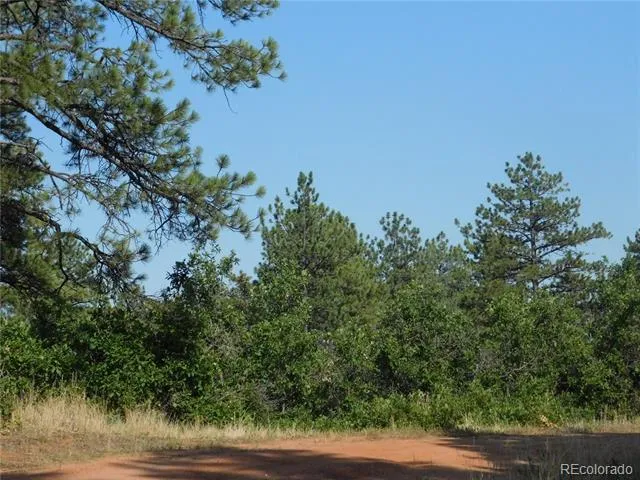 8122 Acoma Drive Larkspur, CO 80118