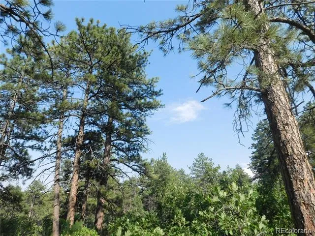 8122 Acoma Drive Larkspur, CO 80118