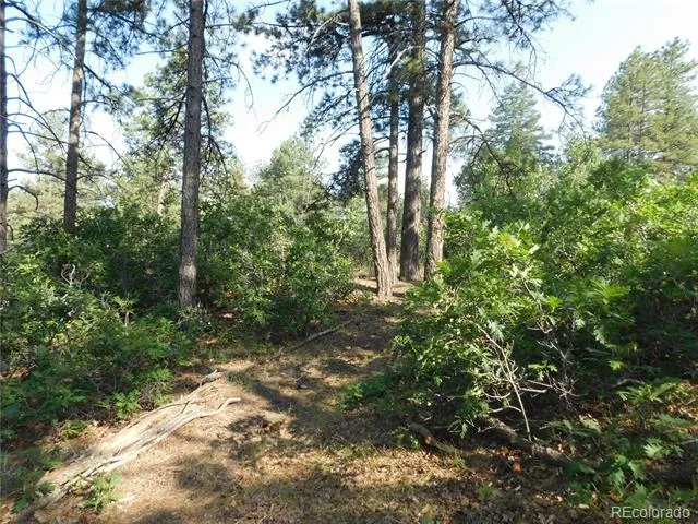 8122 Acoma Drive Larkspur, CO 80118