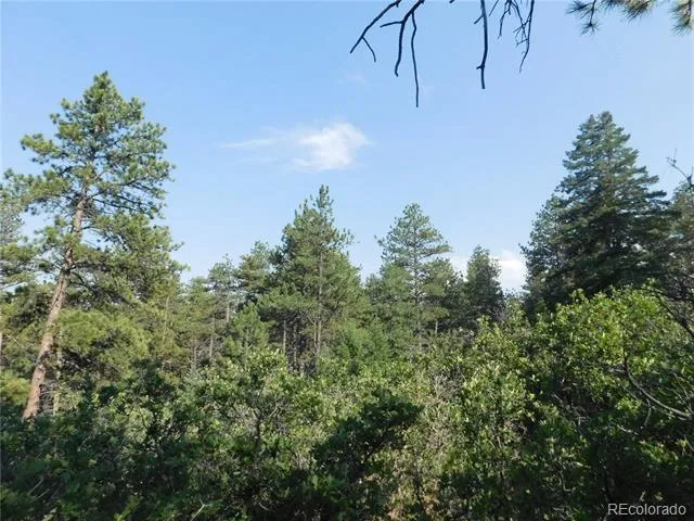 8122 Acoma Drive Larkspur, CO 80118