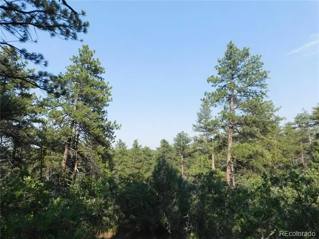 8122 Acoma Drive Larkspur, CO 80118